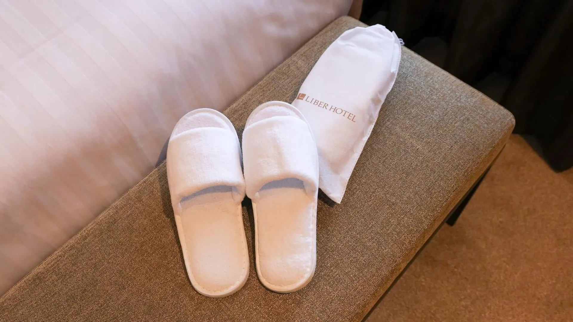 ****  Liber Hotel Osaka Giappone